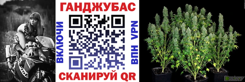 Каннабис SATIVA & INDICA Олонец